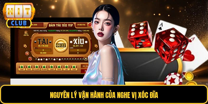 Nghe Vị Xóc Đĩa - Bí Quyết Nắm Bắt Nhịp Điệu Chuyên Nghiệp 2 Nguyên lý vận hành của nghe vị xóc đĩa